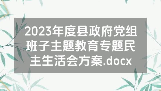 2023年度县政府党组班子主题教育专题民主生活会方案.docx