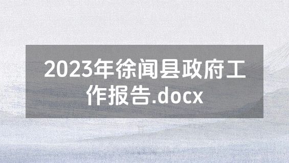 2023年徐闻县政府工作报告.docx