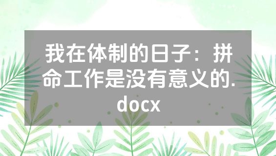 我在体制的日子：拼命工作是没有意义的.docx