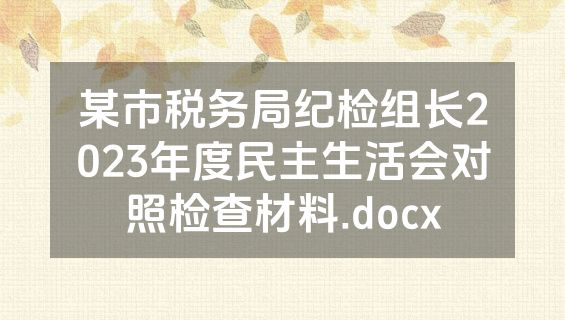 某市税务局纪检组长2023年度民主生活会对照检查材料.docx