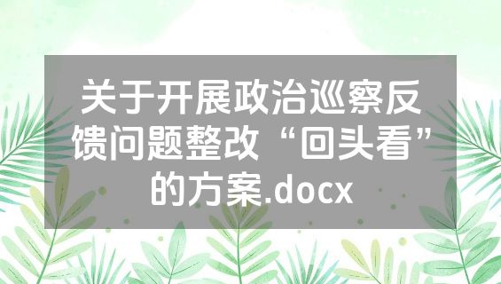 关于开展政治巡察反馈问题整改“回头看”的方案.docx