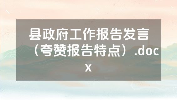 县政府工作报告发言（夸赞报告特点）.docx