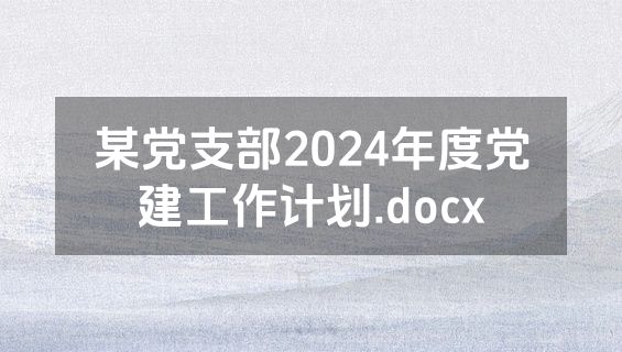 某党支部2024年度党建工作计划.docx