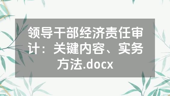 领导干部经济责任审计：关键内容、实务方法.docx