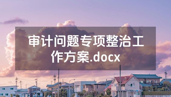 审计问题专项整治工作方案.docx