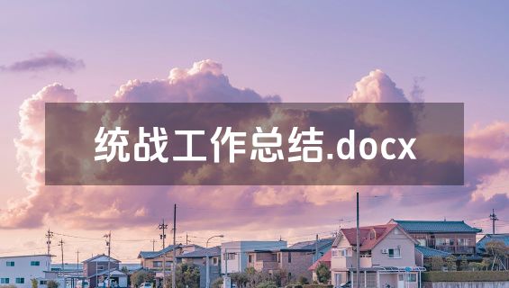 统战工作总结.docx