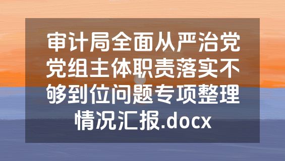 审计局全面从严治党党组主体职责落实不够到位问题专项整理情况汇报.docx