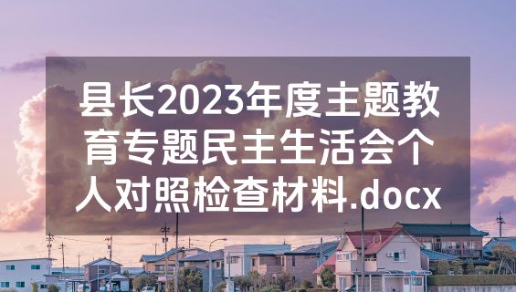 县长2023年度主题教育专题民主生活会个人对照检查材料.docx