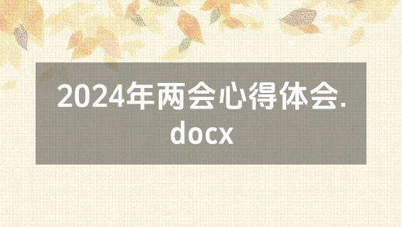 2024年两会心得体会.docx