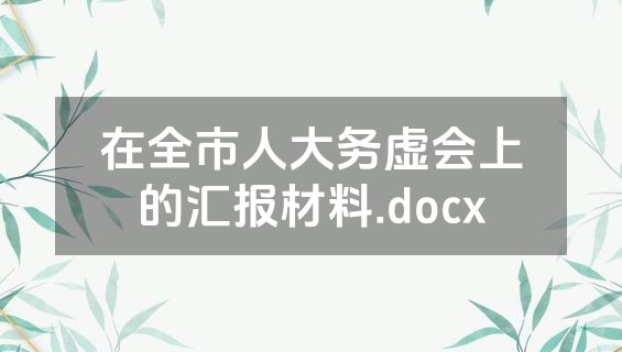 在全市人大务虚会上的汇报材料.docx