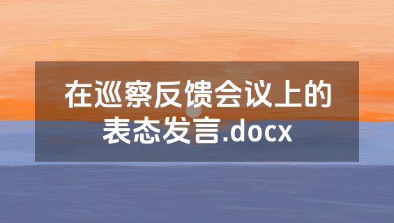 在巡察反馈会议上的表态发言.docx