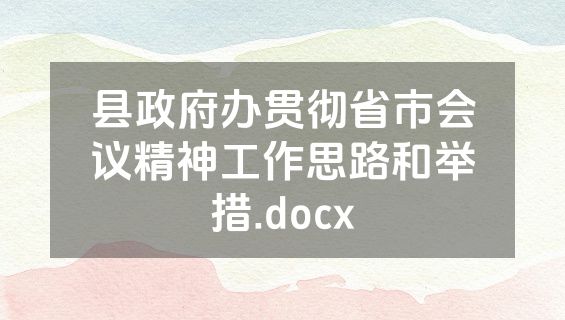 县政府办贯彻省市会议精神工作思路和举措.docx