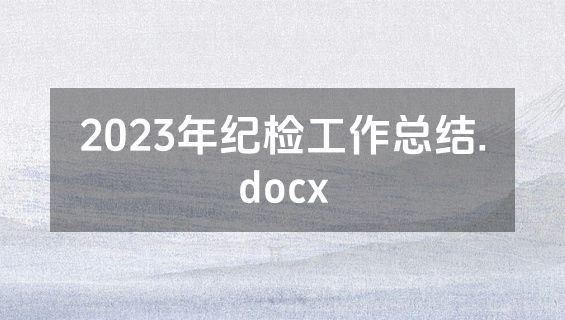 2023年纪检工作总结.docx