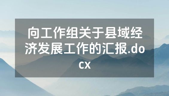 向工作组关于县域经济发展工作的汇报.docx