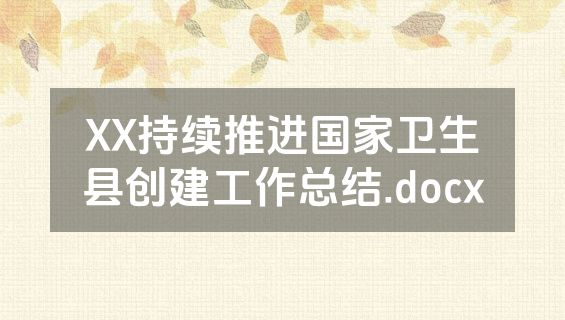 XX持续推进国家卫生县创建工作总结.docx