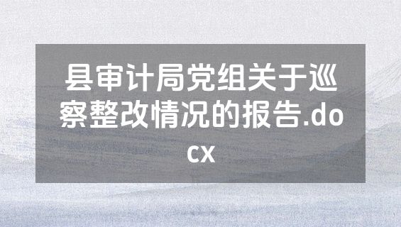 县审计局党组关于巡察整改情况的报告.docx