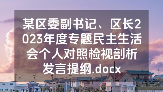 某区委副书记、区长2023年度专题民主生活会个人对照检视剖析发言提纲.docx