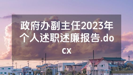 政府办副主任2023年个人述职述廉报告.docx