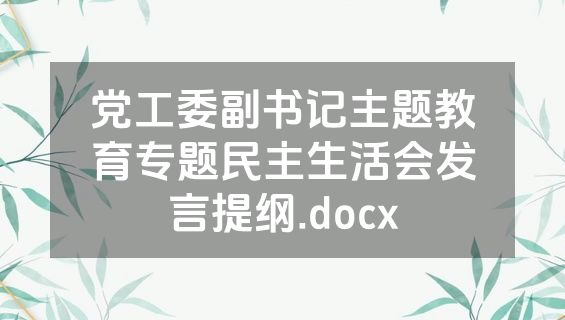 党工委副书记主题教育专题民主生活会发言提纲.docx