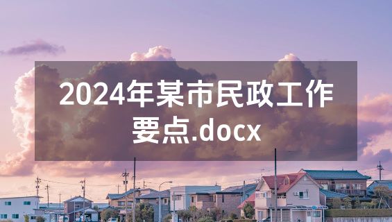 2024年某市民政工作要点.docx