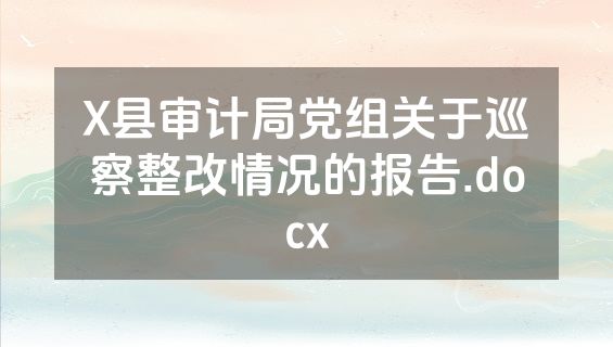 X县审计局党组关于巡察整改情况的报告.docx
