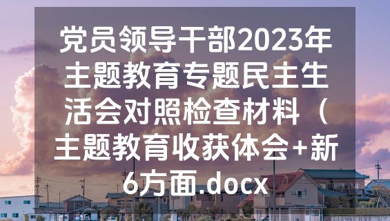 党员领导干部2023年主题教育专题民主生活会对照检查材料（主题教育收获体会+新6方面.docx
