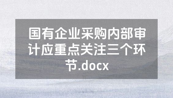 国有企业采购内部审计应重点关注三个环节.docx