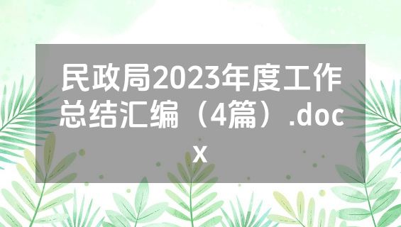民政局2023年度工作总结汇编（4篇）.docx
