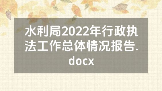 水利局2022年行政执法工作总体情况报告.docx