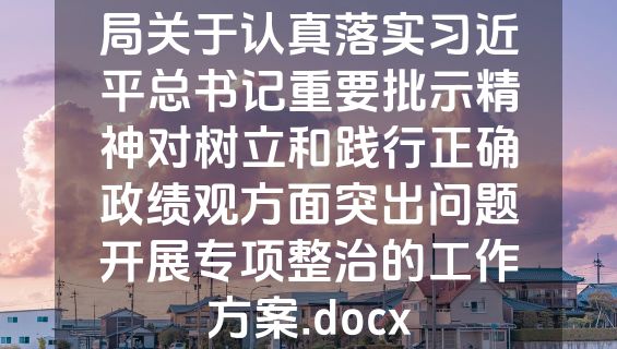 局关于认真落实习近平总书记重要批示精神对树立和践行正确政绩观方面突出问题开展专项整治的工作方案.docx