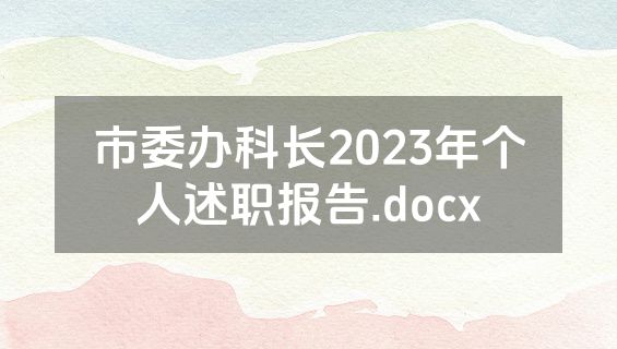 市委办科长2023年个人述职报告.docx