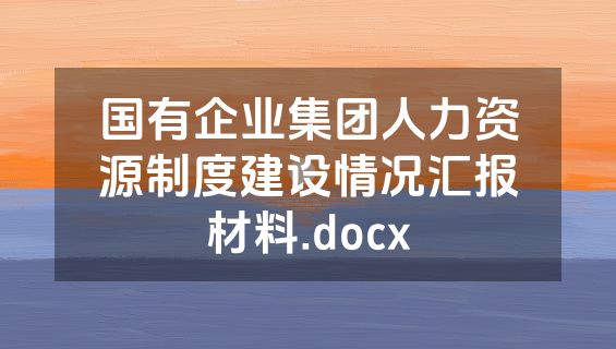 国有企业集团人力资源制度建设情况汇报材料.docx