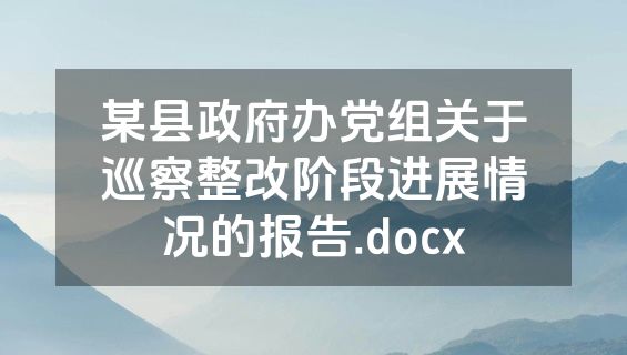 某县政府办党组关于巡察整改阶段进展情况的报告.docx