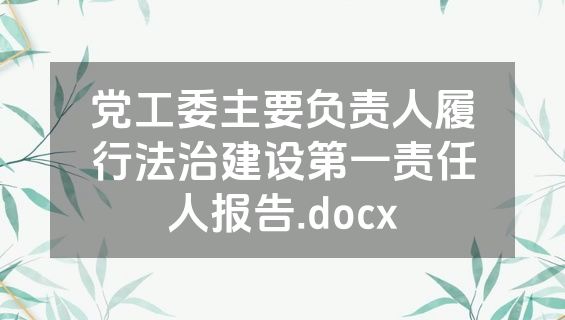 党工委主要负责人履行法治建设第一责任人报告.docx