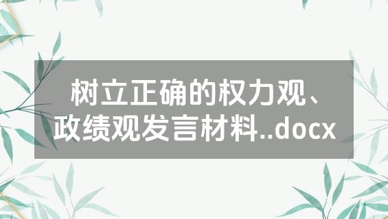 树立正确的权力观、政绩观发言材料..docx