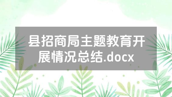 县招商局主题教育开展情况总结.docx