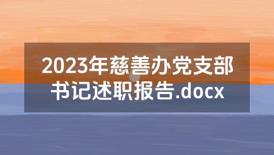 2023年慈善办党支部书记述职报告.docx