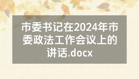 市委书记在2024年市委政法工作会议上的讲话.docx