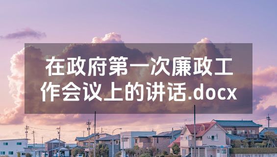 在政府第一次廉政工作会议上的讲话.docx