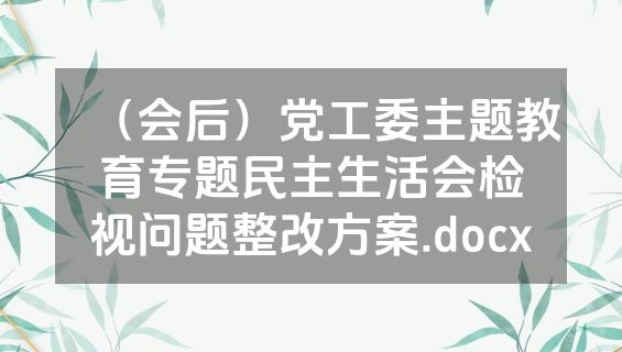 （会后）党工委主题教育专题民主生活会检视问题整改方案.docx