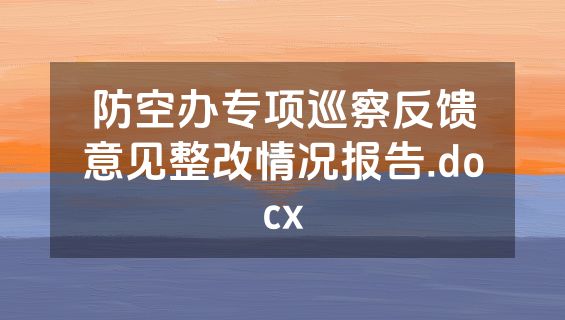 防空办专项巡察反馈意见整改情况报告.docx