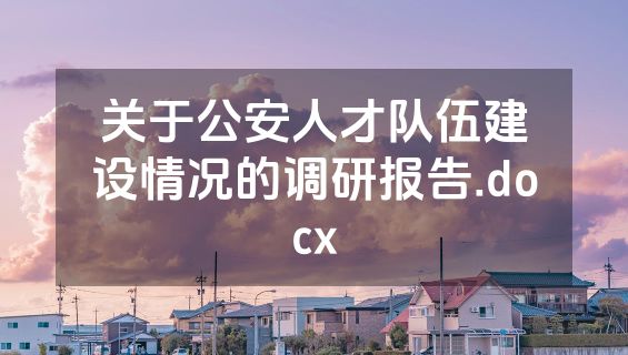关于公安人才队伍建设情况的调研报告.docx