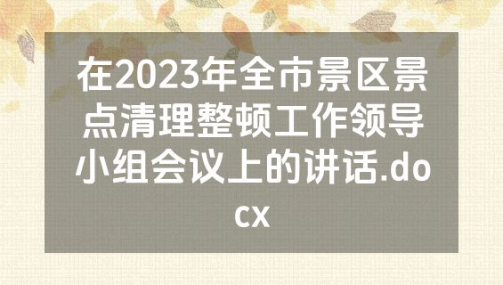 在2023年全市景区景点清理整顿工作领导小组会议上的讲话.docx