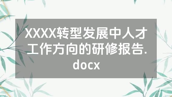 XXXX转型发展中人才工作方向的研修报告.docx