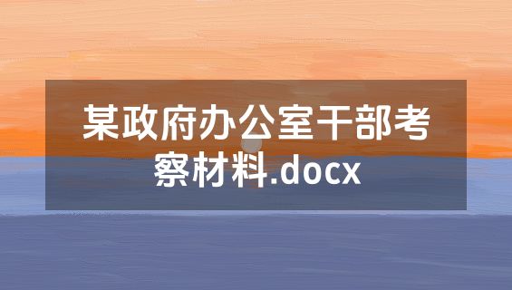 某政府办公室干部考察材料.docx