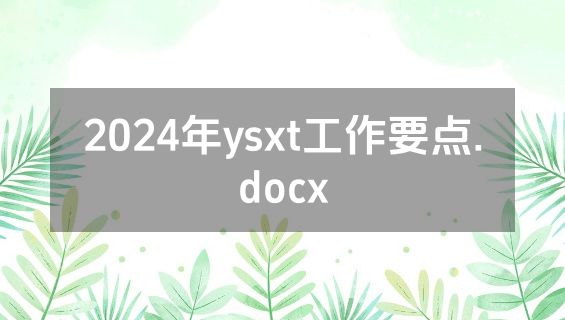 2024年ysxt工作要点.docx
