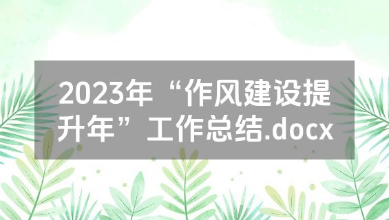 2023年“作风建设提升年”工作总结.docx
