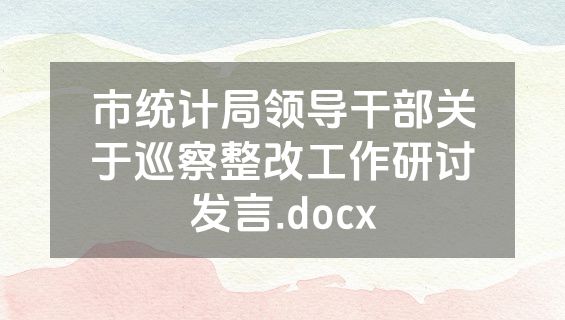 市统计局领导干部关于巡察整改工作研讨发言.docx