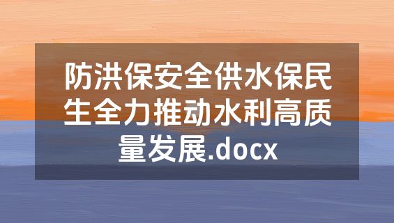 防洪保安全供水保民生全力推动水利高质量发展.docx