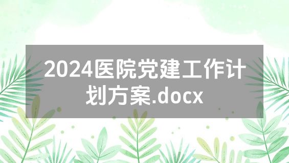 2024医院党建工作计划方案.docx